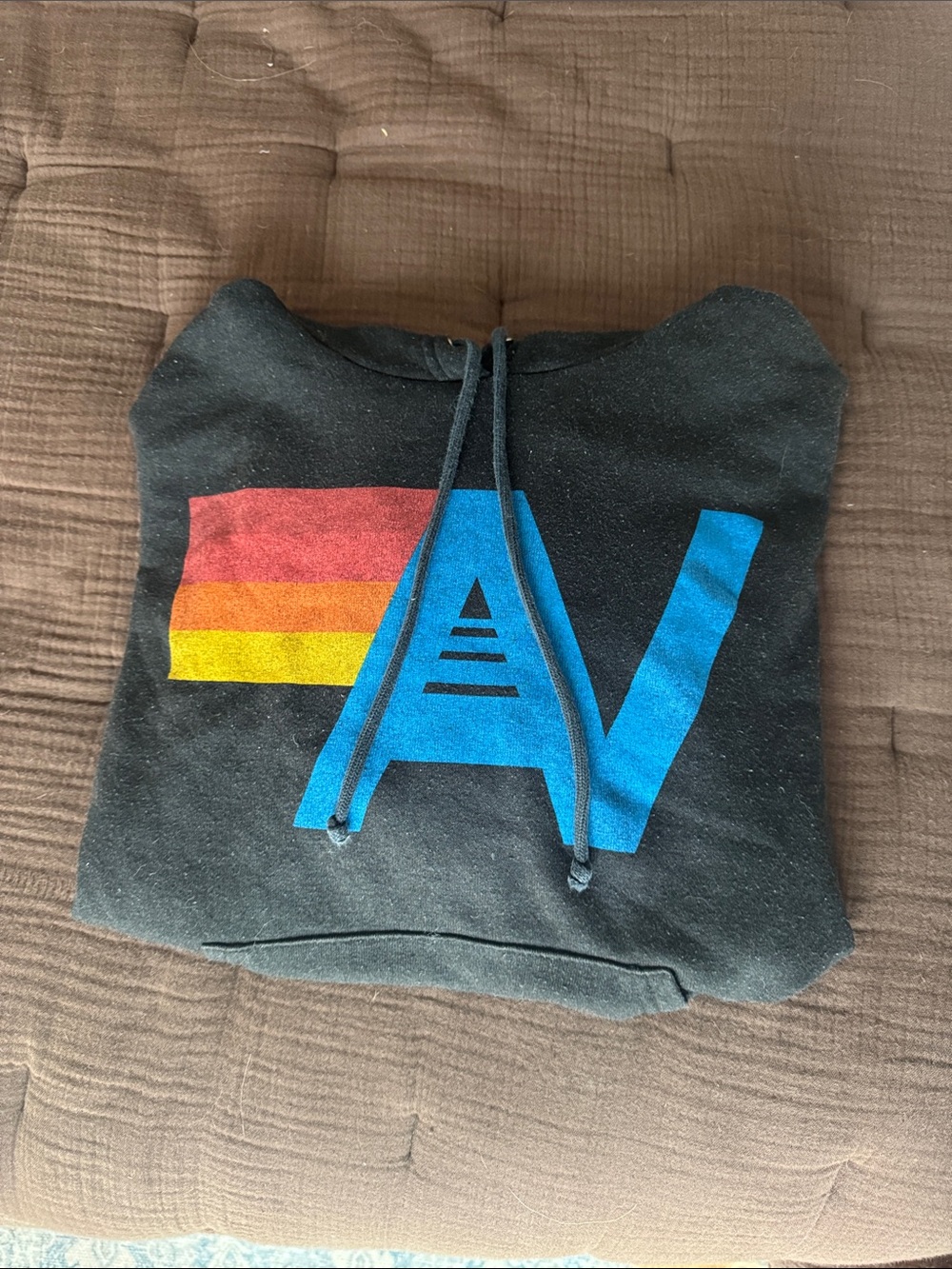 Aviator Nation Logo Pullover Relaxed Hoodie